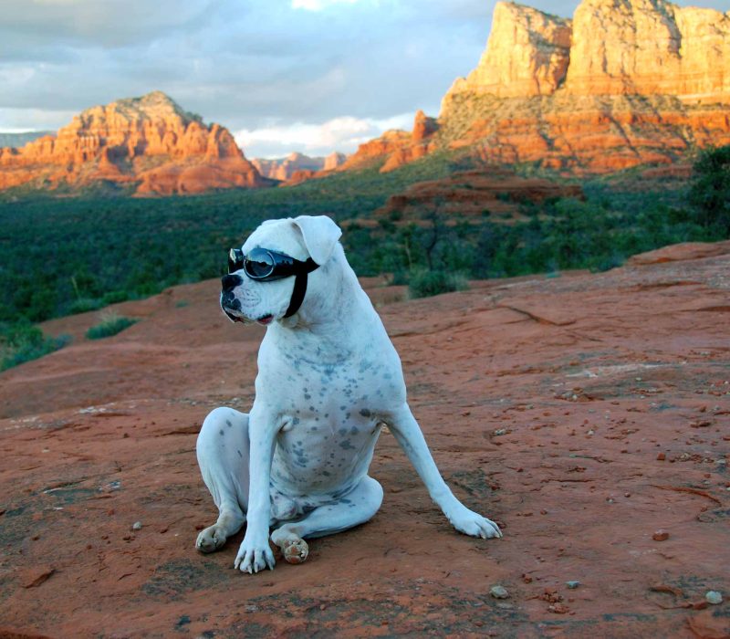 Sedona-Dog-Friendly-Hike