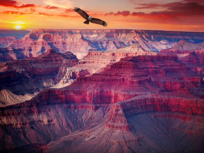 compressed_AdobeStock_140060040