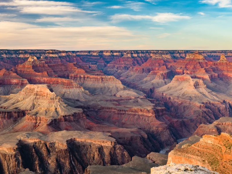 compressed_AdobeStock_203223541