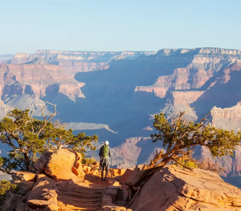 compressed_AdobeStock_48878899